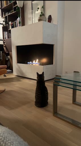 Woitha Kamine in Berlin Charlottenburg — Kundenfoto