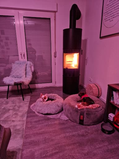 Ofengalerie - Kaminbau Engel GmbH & Co.KG — Kundenfoto